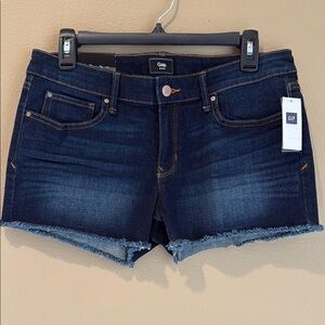 GAP Blue Jean Shorts Classic Cut-Off Style